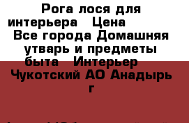 Рога лося для интерьера › Цена ­ 3 300 - Все города Домашняя утварь и предметы быта » Интерьер   . Чукотский АО,Анадырь г.